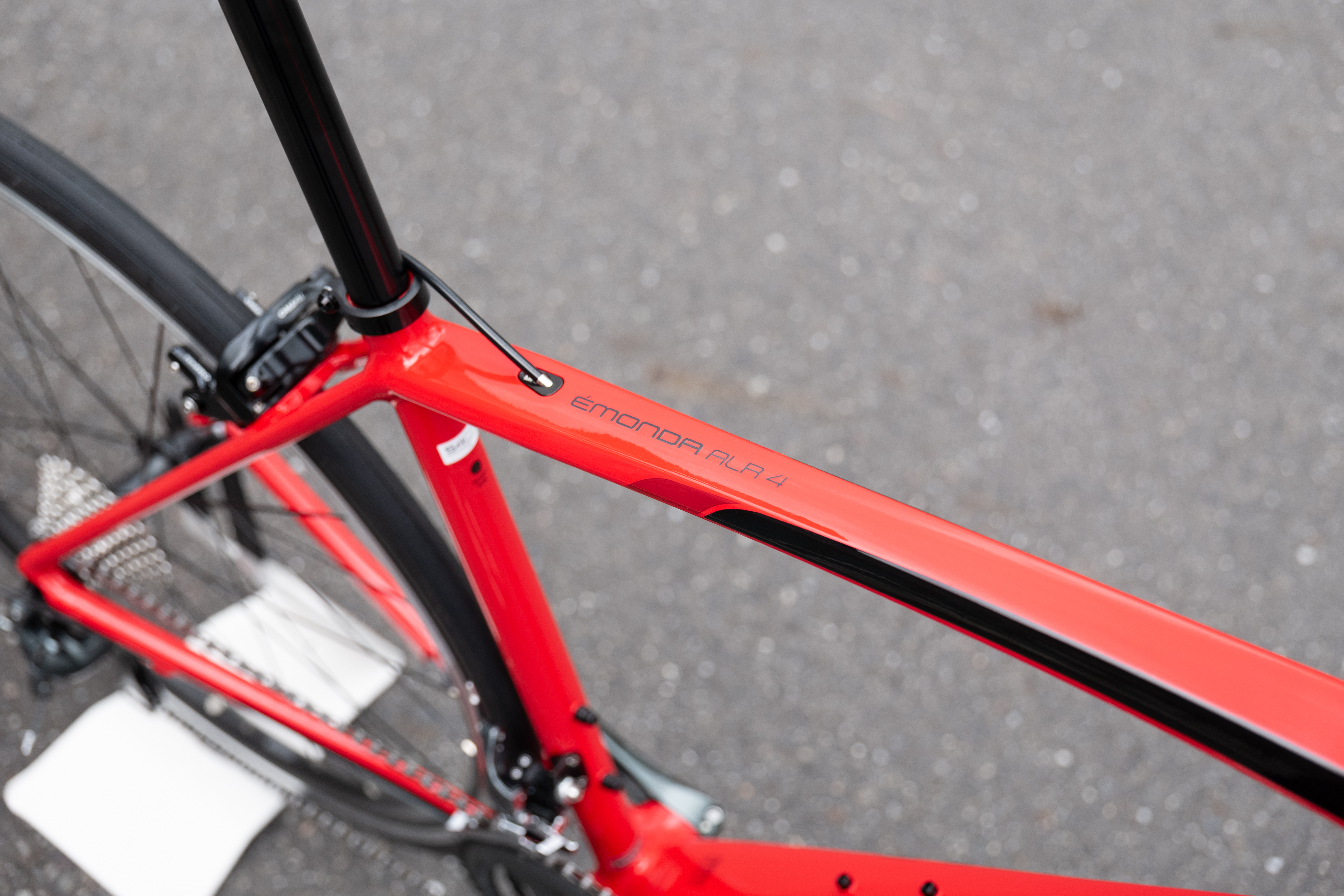 2020 MODEL］まるでカーボンのようなアルミロード、TREK EMONDA ALR