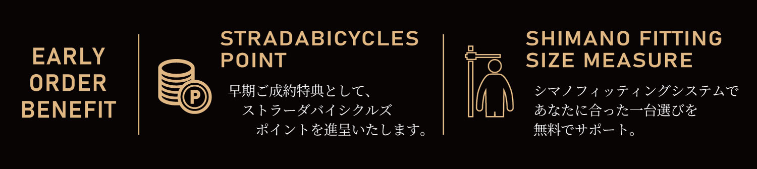 New Domane